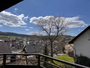 Aussicht_Wohnung_Usseln