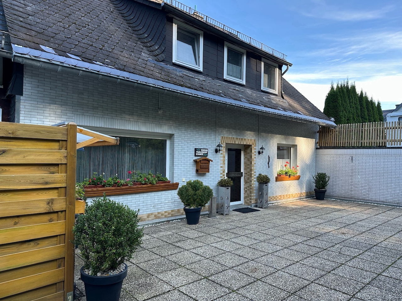 Freifläche vorm Haus Willingen Stryck